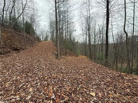 lot218 Casey Mountain Rd, Purlear, NC 28665 photo 7