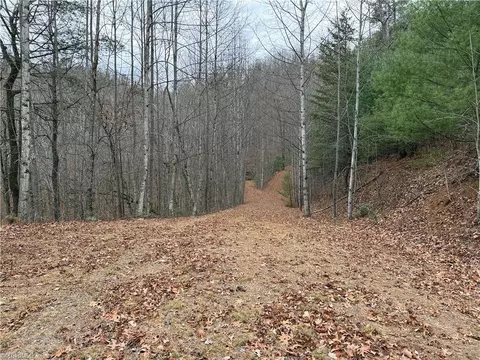 lot218 Casey Mountain Rd, Purlear, NC 28665 photo 21