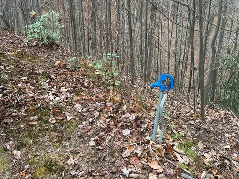 lot218 Casey Mountain Rd, Purlear, NC 28665 photo 10