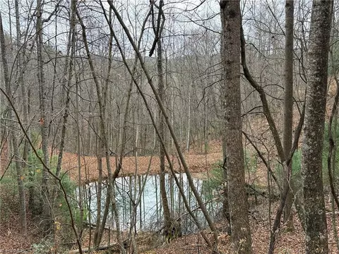 lot218 Casey Mountain Rd, Purlear, NC 28665 photo 18