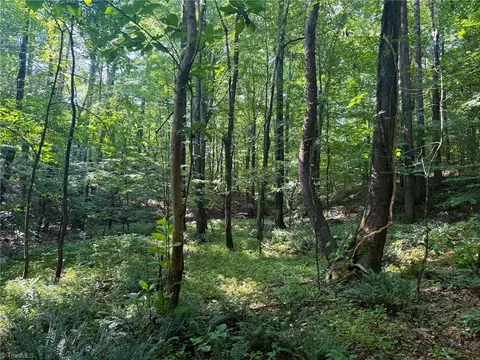 0 Settle Bridge Rd, Madison, NC 27025 photo 12