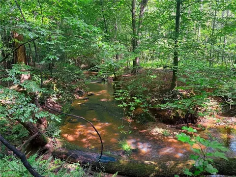0 Settle Bridge Rd, Madison, NC 27025 photo 19