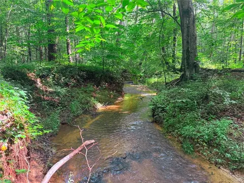 0 Settle Bridge Rd, Madison, NC 27025 photo 17
