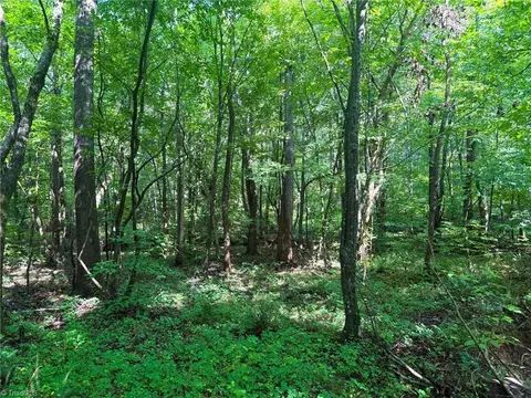 0 Settle Bridge Rd, Madison, NC 27025 photo 11