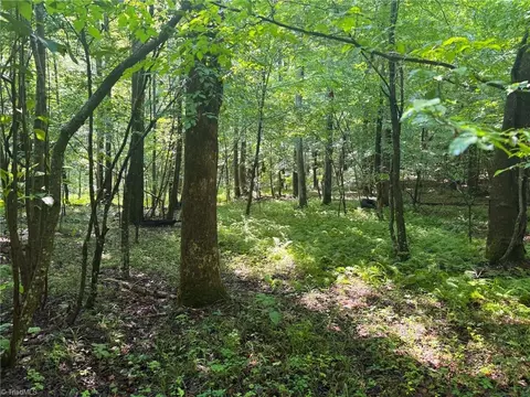 0 Settle Bridge Rd, Madison, NC 27025 photo 13