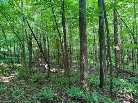 0 Settle Bridge Rd, Madison, NC 27025 photo 16