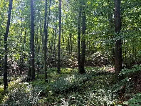 0 Settle Bridge Rd, Madison, NC 27025 photo 10