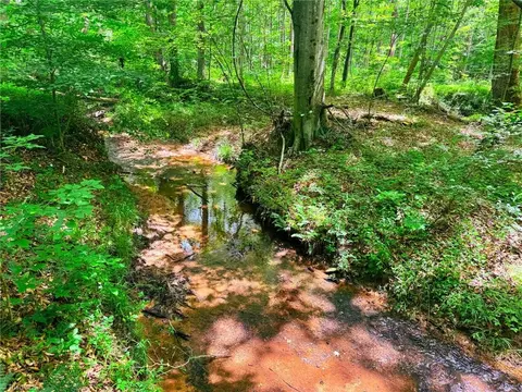 0 Settle Bridge Rd, Madison, NC 27025 photo 20