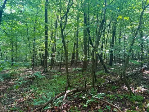 0 Settle Bridge Rd, Madison, NC 27025 photo 15