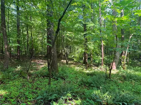 0 Settle Bridge Rd, Madison, NC 27025 photo 14