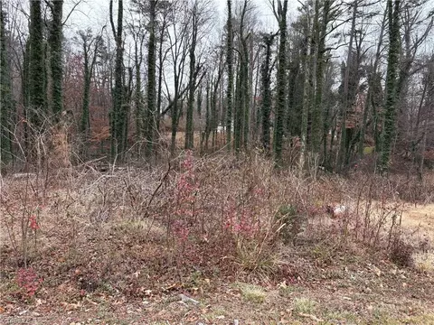 0 Chesapeake Dr, Rural Hall, NC 27054