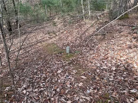 lot21 Buck Mountain Rd, Purlear, NC 28665 photo 12
