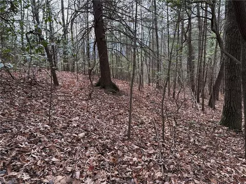 lot21 Buck Mountain Rd, Purlear, NC 28665 photo 11
