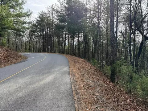 lot21 Buck Mountain Rd, Purlear, NC 28665 photo 17