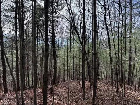 lot21 Buck Mountain Rd, Purlear, NC 28665 photo 7