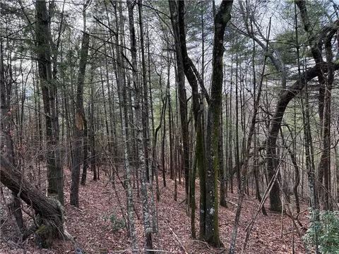 lot21 Buck Mountain Rd, Purlear, NC 28665 photo 16