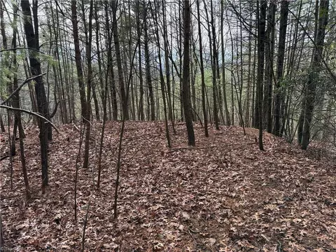 lot21 Buck Mountain Rd, Purlear, NC 28665 photo 13