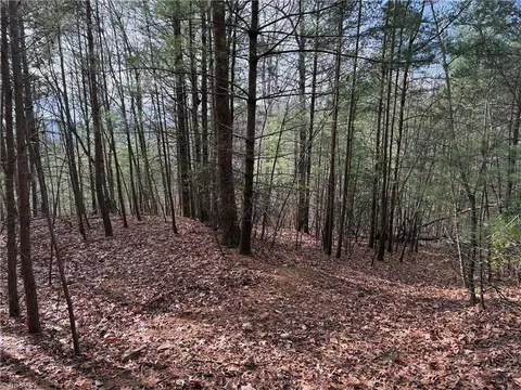 lot21 Buck Mountain Rd, Purlear, NC 28665 photo 15