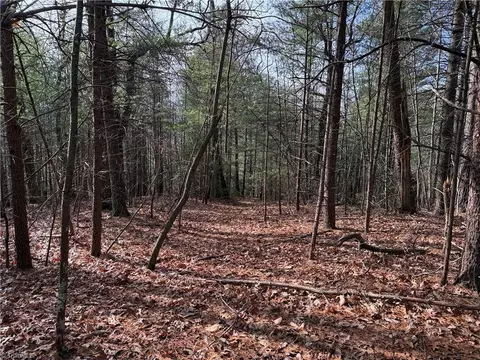 lot21 Buck Mountain Rd, Purlear, NC 28665 photo 6