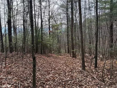 lot21 Buck Mountain Rd, Purlear, NC 28665 photo 9