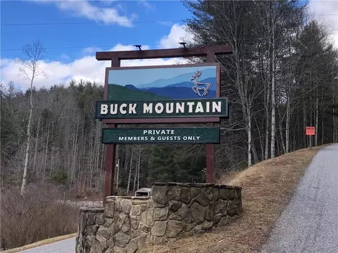 lot21 Buck Mountain Rd, Purlear, NC 28665 photo 21