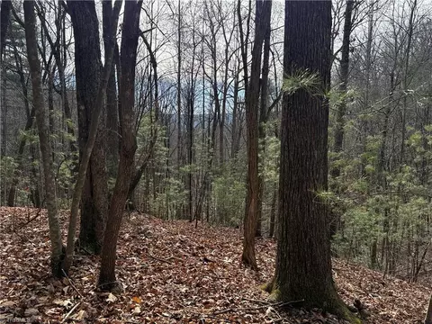 lot21 Buck Mountain Rd, Purlear, NC 28665 photo 8