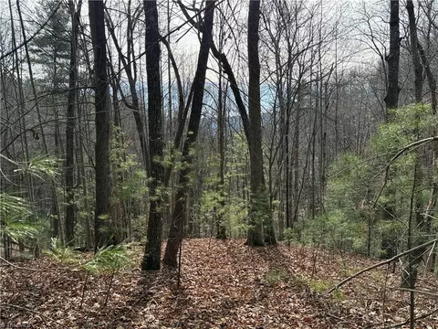 lot21 Buck Mountain Rd, Purlear, NC 28665