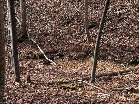 lot21 Buck Mountain Rd, Purlear, NC 28665 photo 5