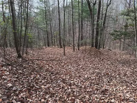 lot21 Buck Mountain Rd, Purlear, NC 28665 photo 10