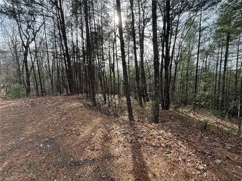 lot21 Buck Mountain Rd, Purlear, NC 28665 photo 3