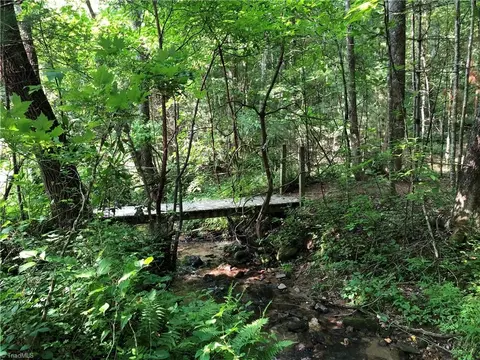 lot21 Buck Mountain Rd, Purlear, NC 28665 photo 33