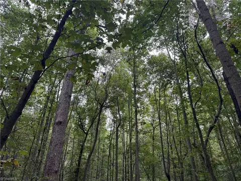 0 Mathis Mill Rd, Roaring River, NC 28669 photo 13