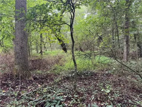 0 Mathis Mill Rd, Roaring River, NC 28669 photo 20