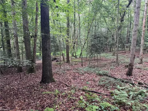 0 Mathis Mill Rd, Roaring River, NC 28669 photo 17