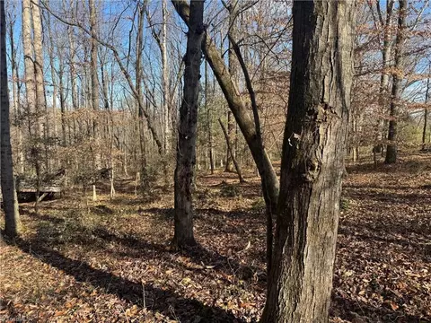 0 Mathis Mill Rd, Roaring River, NC 28669 photo 10