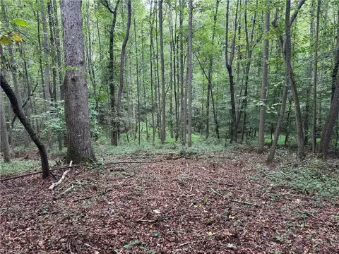 0 Mathis Mill Rd, Roaring River, NC 28669 photo 14