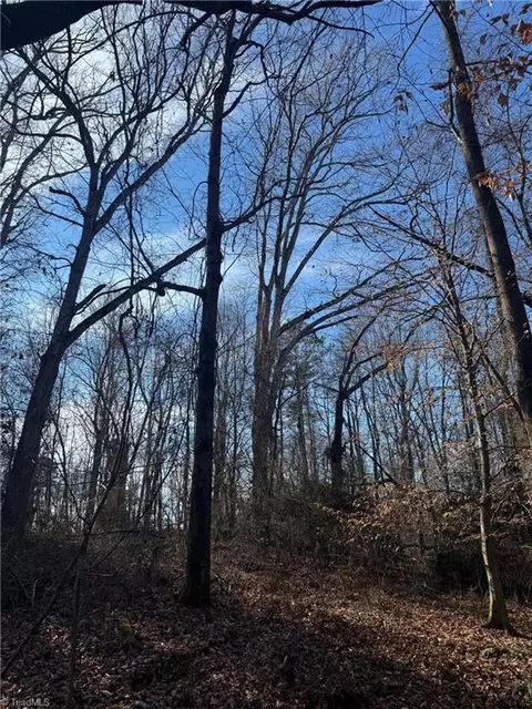 0 Mathis Mill Rd, Roaring River, NC 28669 photo 7