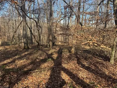 0 Mathis Mill Rd, Roaring River, NC 28669 photo 9