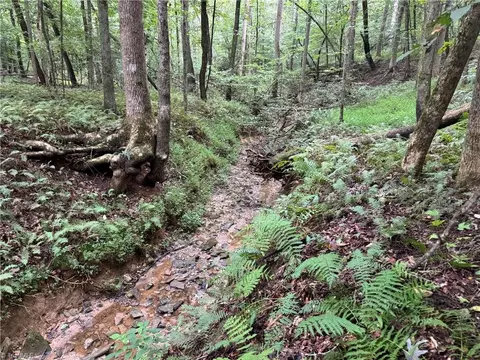 0 Mathis Mill Rd, Roaring River, NC 28669 photo 19