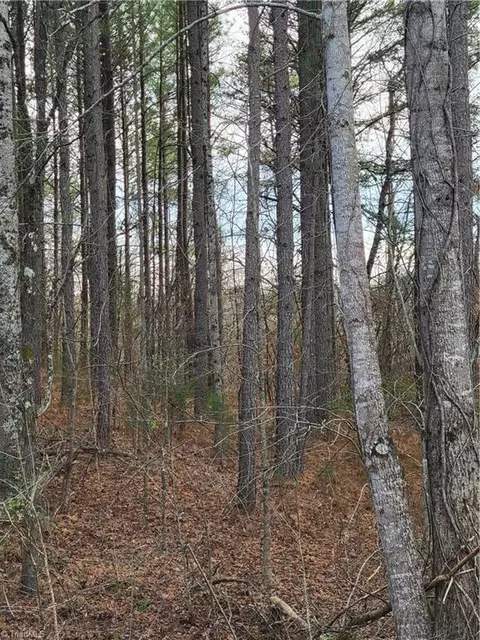 1671 Bowen Rd, Pinnacle, NC 27043 photo 10