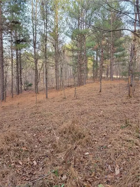 1671 Bowen Rd, Pinnacle, NC 27043 photo 14