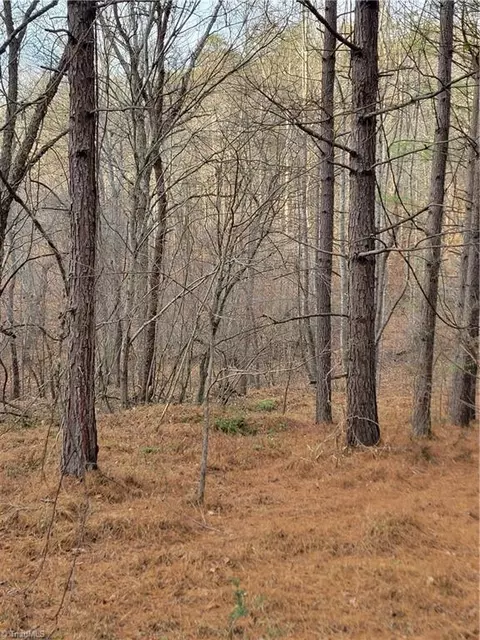 1671 Bowen Rd, Pinnacle, NC 27043 photo 15