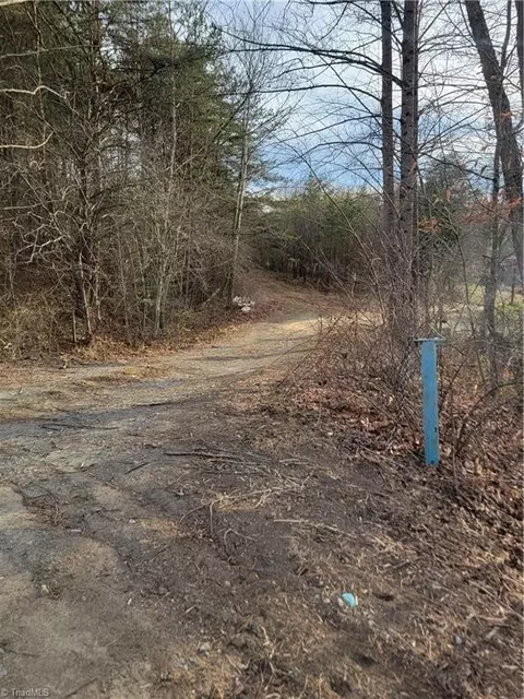 1671 Bowen Rd, Pinnacle, NC 27043 photo 5