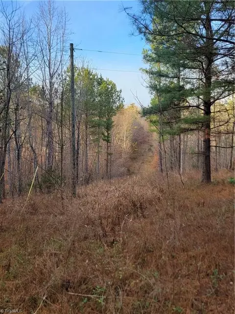1671 Bowen Rd, Pinnacle, NC 27043 photo 17