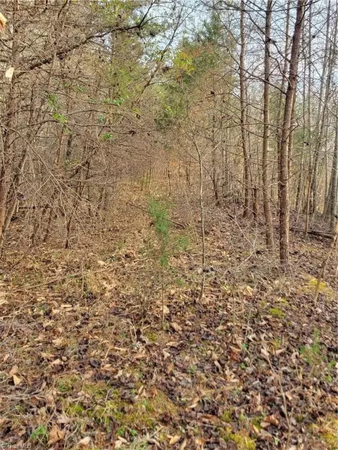 1671 Bowen Rd, Pinnacle, NC 27043 photo 6