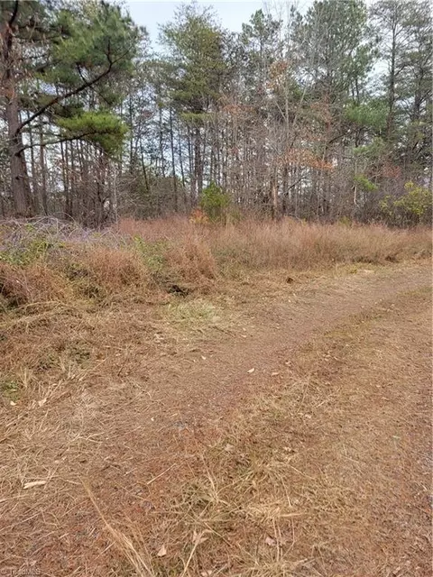 1788 Bowen Rd, Pinnacle, NC 27043 photo 3