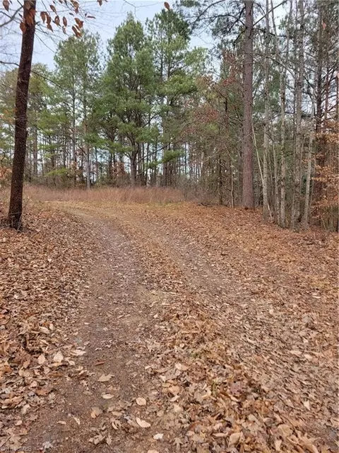 1788 Bowen Rd, Pinnacle, NC 27043 photo 4