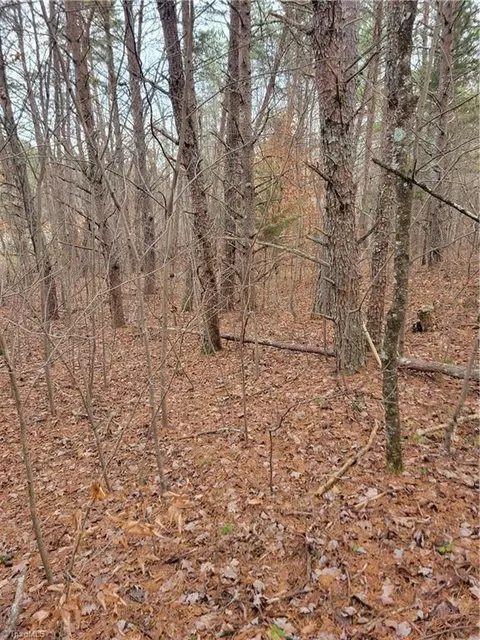 1788 Bowen Rd, Pinnacle, NC 27043 photo 5