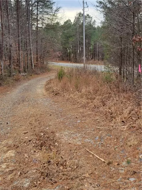1788 Bowen Rd, Pinnacle, NC 27043 photo 2