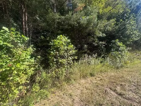 00 Parsonsville Rd, Purlear, NC 28665